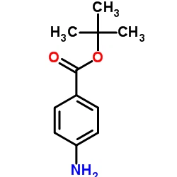 CAS:18144-47-3|Tert-butyyli4-aminobentsoaatti