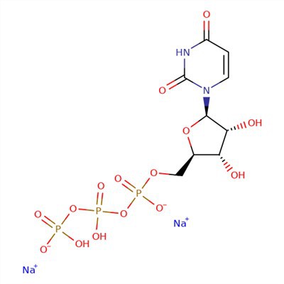 CAS:19817-92-6|Uridiini-5'-trifosfaattitrinatriumsuola
