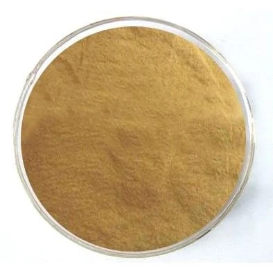 CAS:119-32-4丨4-Methyl-3-nitroaniline